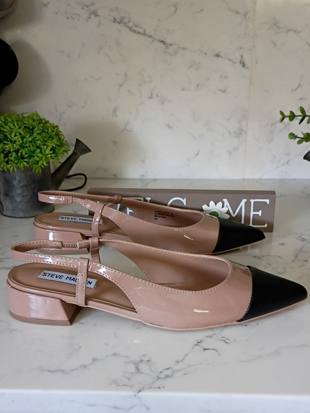 Steve Madden Women's Two-Tone Slingback Pointed Toe Pump in Nude/Black